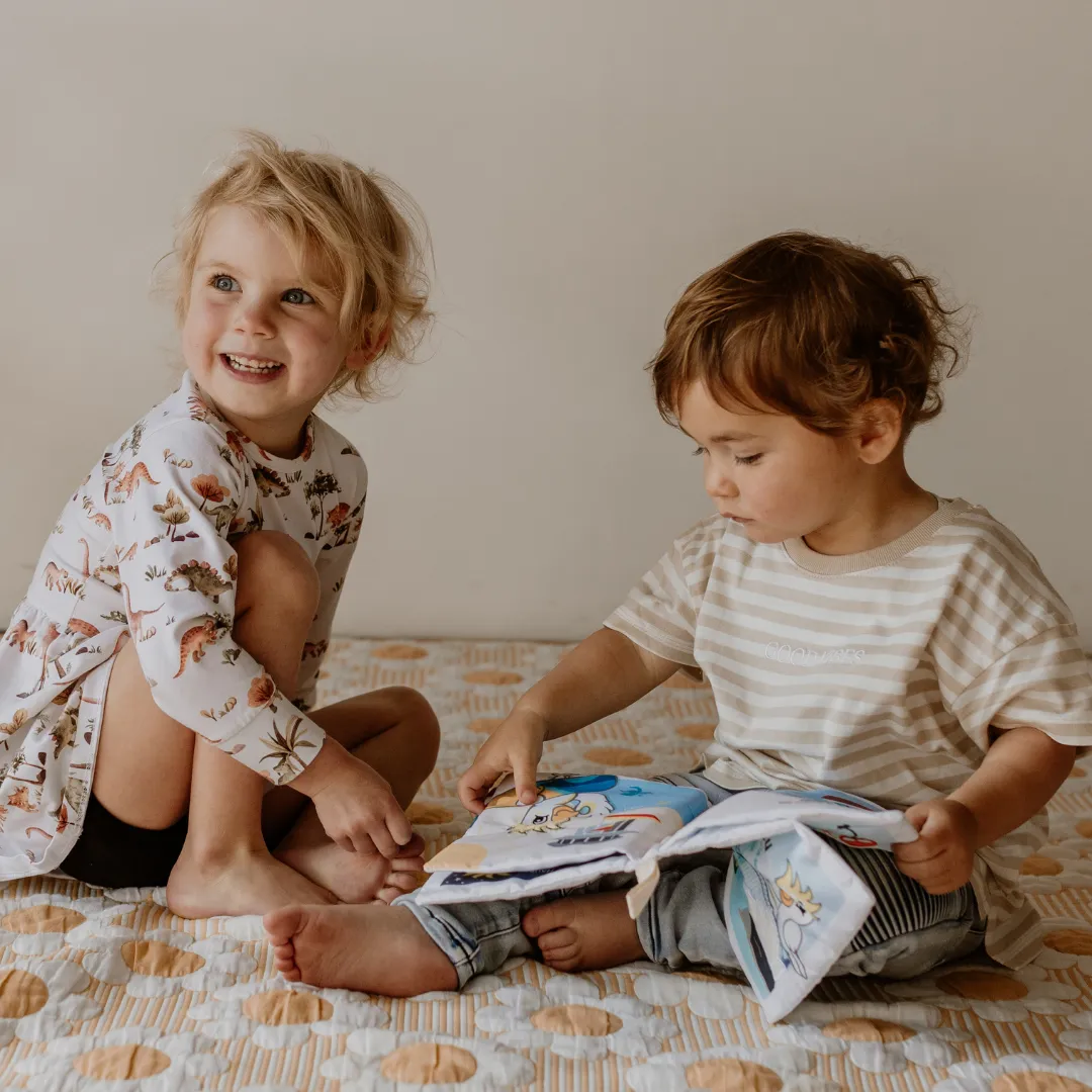 Baby Soft Book