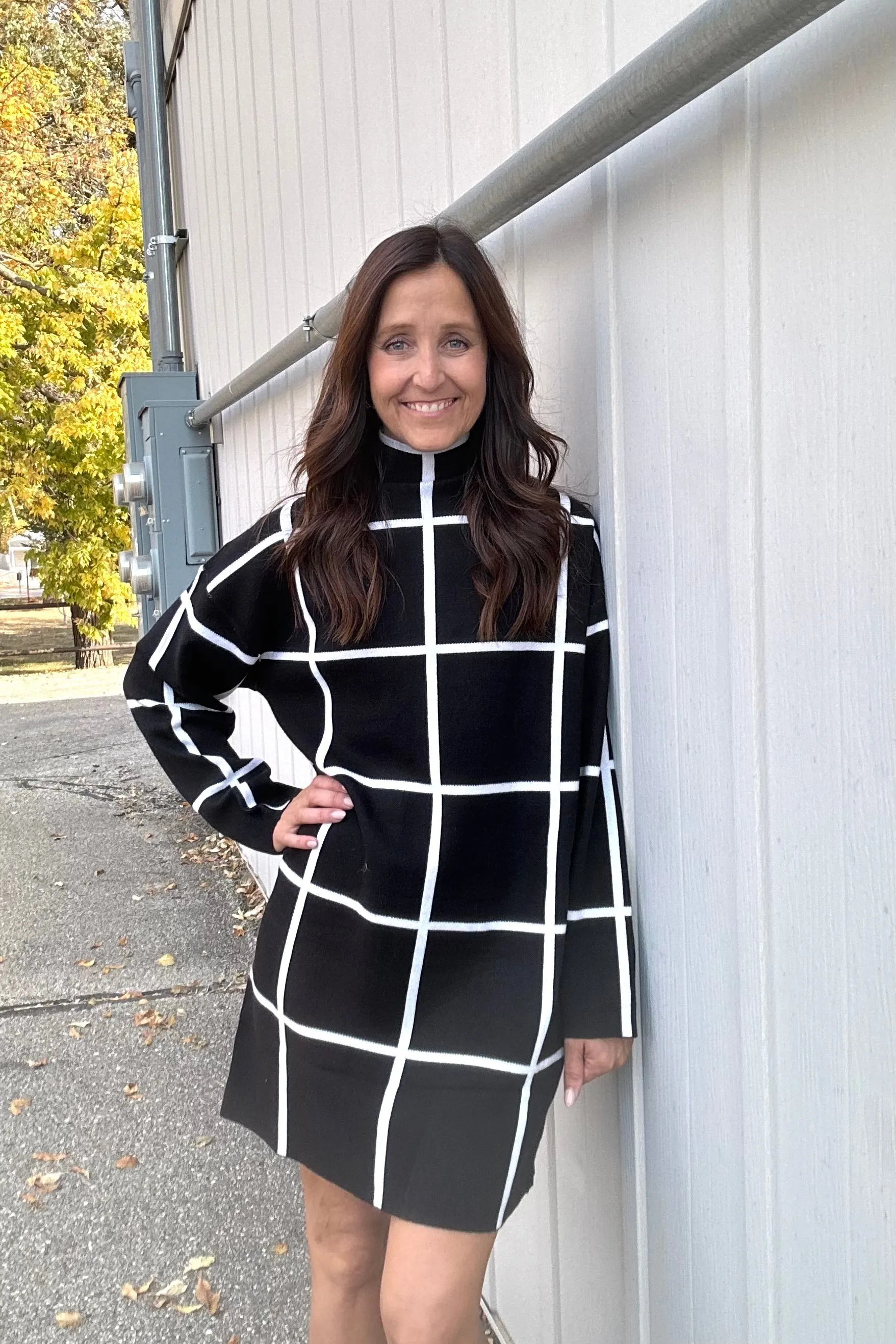Gwen High Neck Sweater Dress