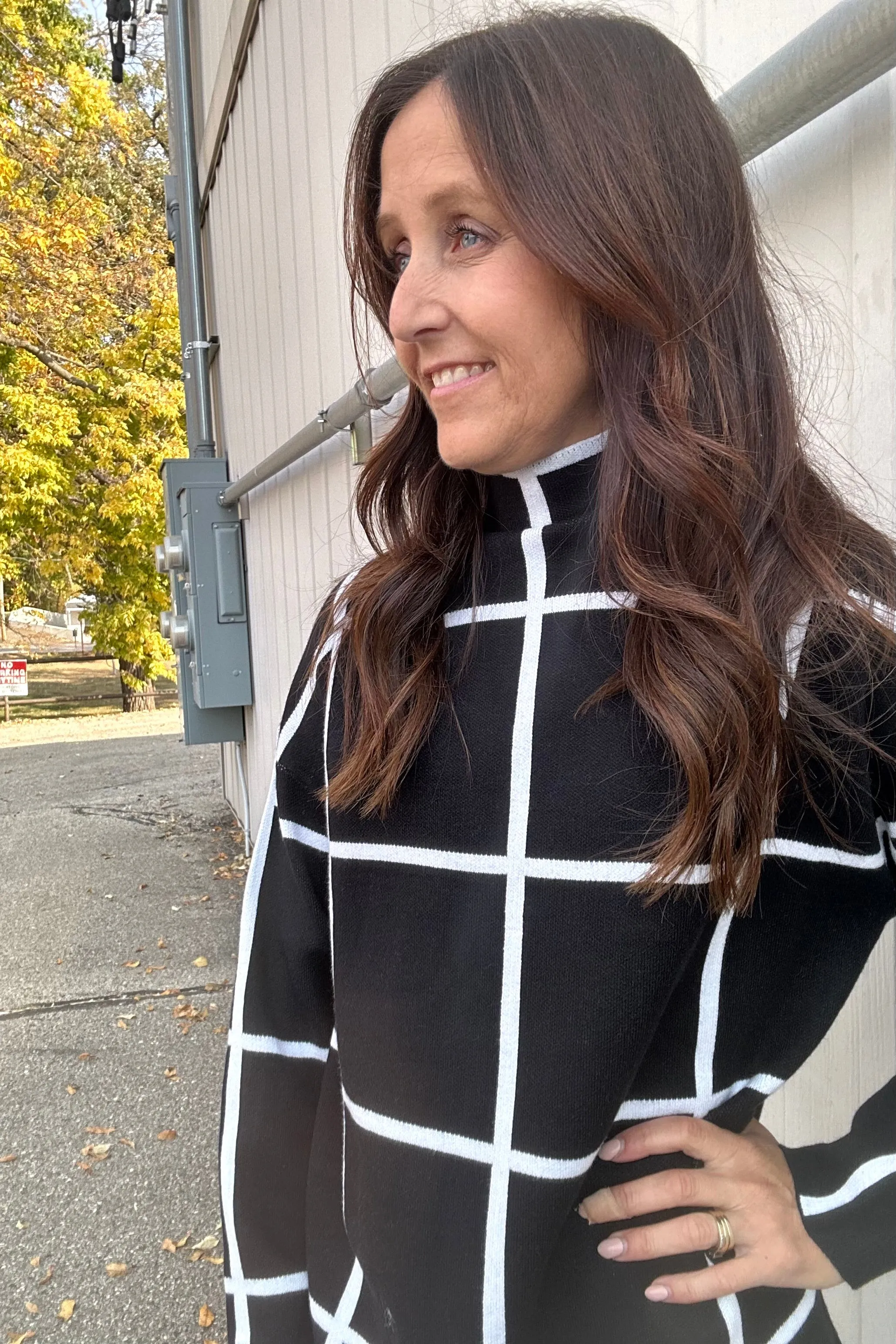 Gwen High Neck Sweater Dress