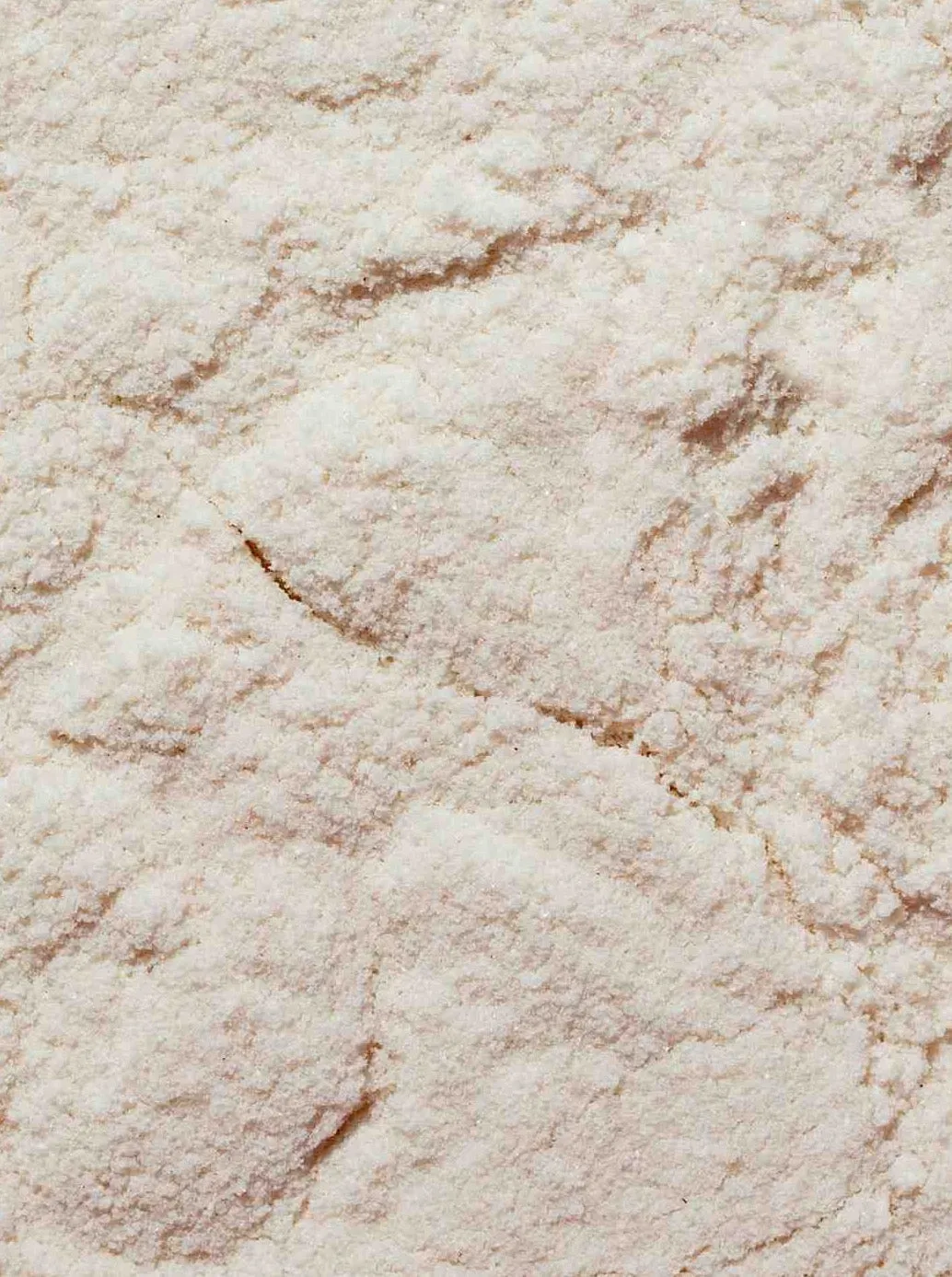 Surya Salt
