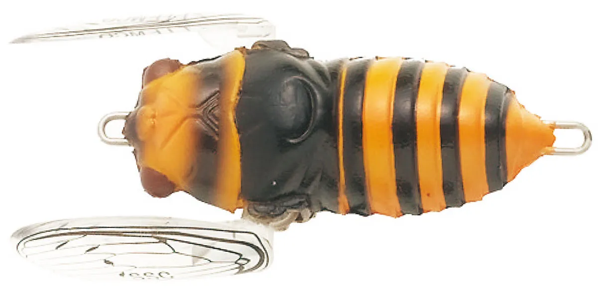 Tiemco Soft Shell Cicada EVO 2024 Model