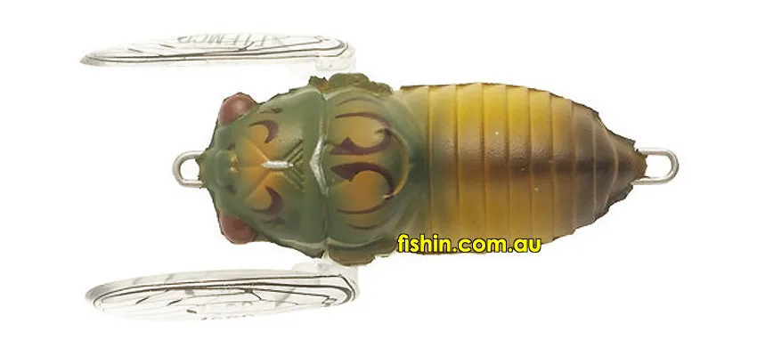 Tiemco Soft Shell Cicada EVO 2024 Model