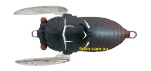 Tiemco Soft Shell Cicada EVO 2024 Model