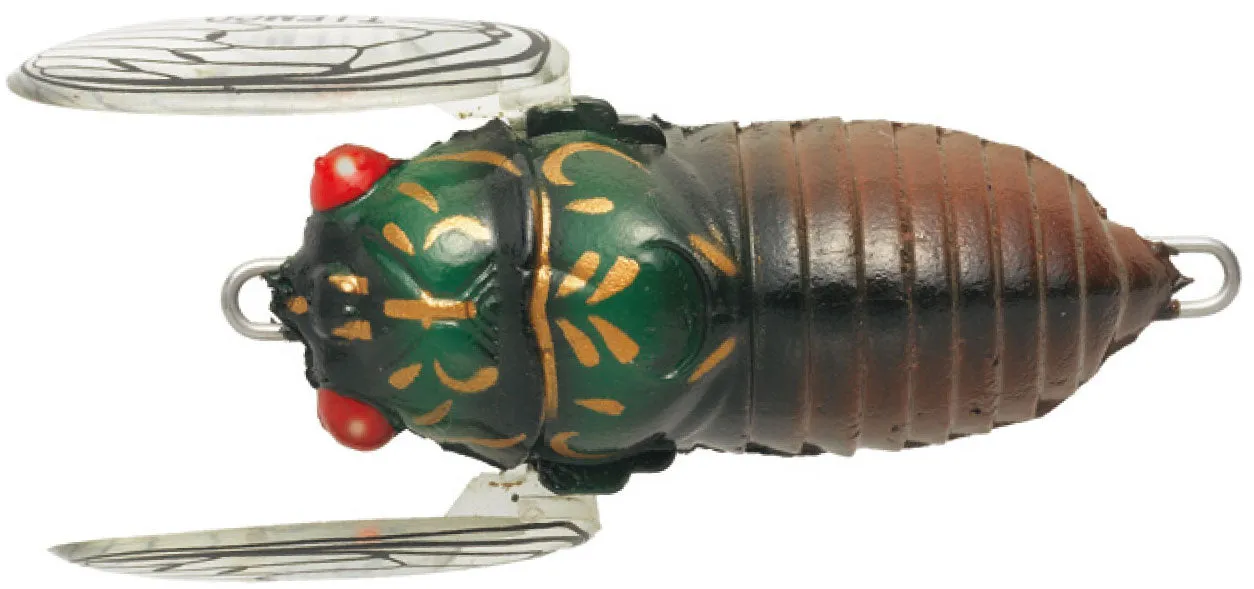 Tiemco Soft Shell Cicada EVO 2024 Model