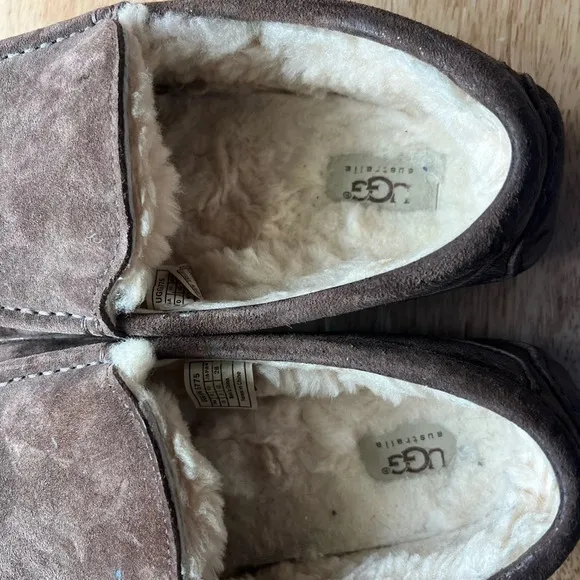 UGG Ascot Mens Slippers