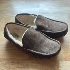 UGG Ascot Mens Slippers