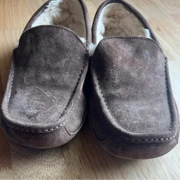 UGG Ascot Mens Slippers