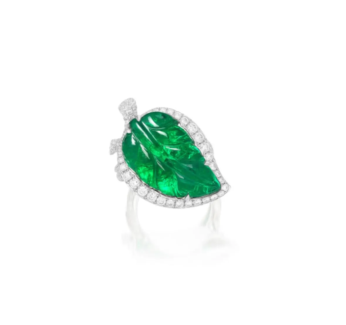 Verdant Leaf